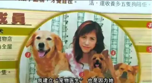 资源图片