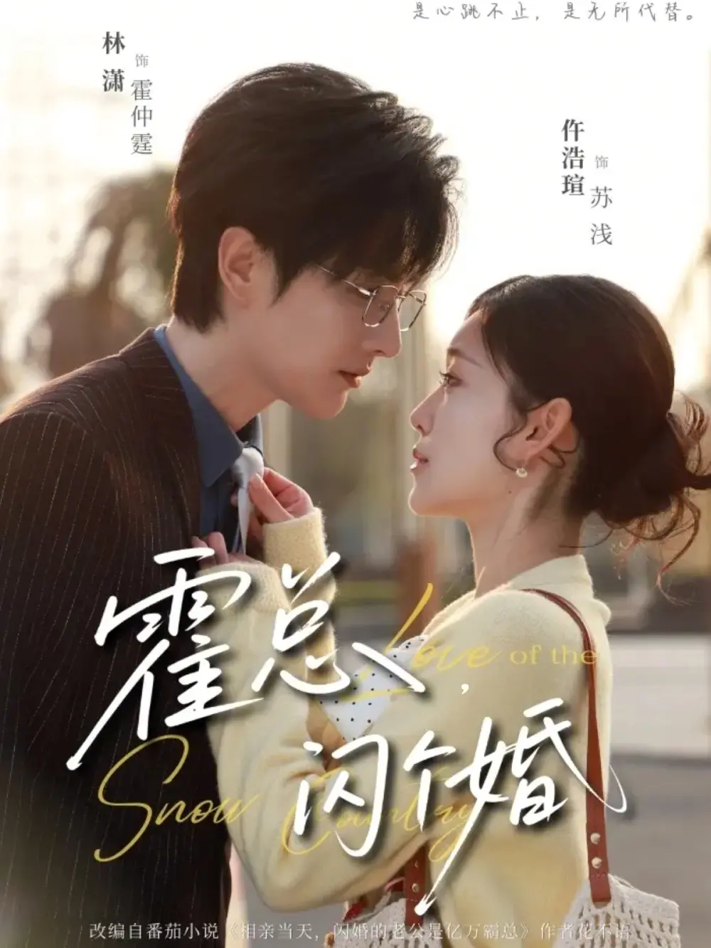 《霍总，闪个婚》全集高清在线观看-短剧《霍总，闪个婚》全86集完整版免费观看-未删减资源免费播放