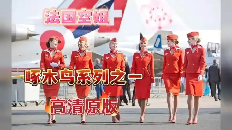 《法国空姐4》资源下载-法国空姐4完整版1080P高清在线观看-法国空姐系列全季免费播放