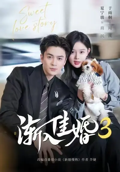 《渐入佳婚3》全系列无删减版免费看-短剧《渐入佳婚3》全集高清在线播放-全网同步更新1080P