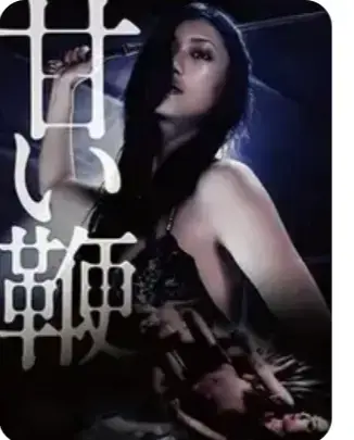 《甜蜜皮鞭》未删减正片1080P蓝光画质-甜蜜皮鞭满天星系列全集中文版在线看-无广告免费观看资源
