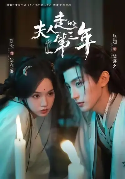 《夫人走的第三年》全集高清完整版免费观看-夫人走的第三年未删减版HD在线播放-《夫人走的第三年》迅雷夸克网盘资源下载